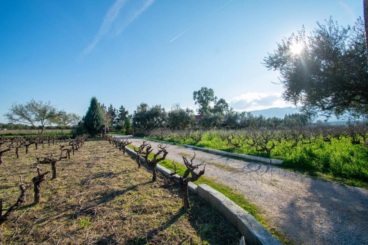 Áyios Kírikos Loukas Farm House מראה חיצוני תמונה