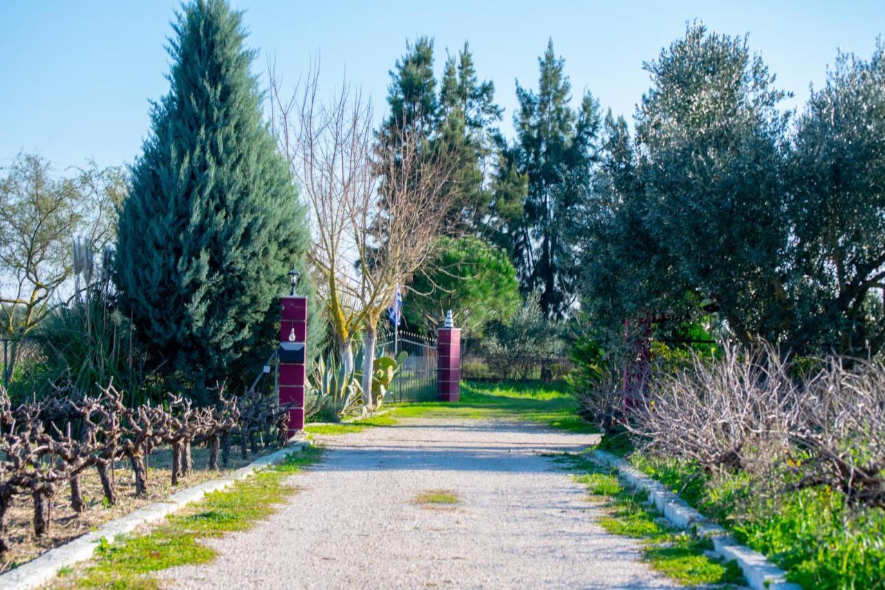 Áyios Kírikos Loukas Farm House מראה חיצוני תמונה