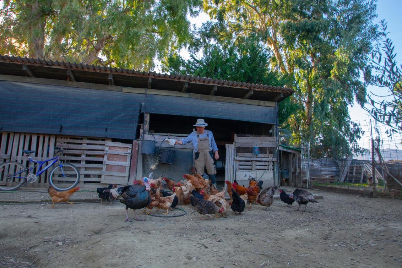 Áyios Kírikos Loukas Farm House מראה חיצוני תמונה